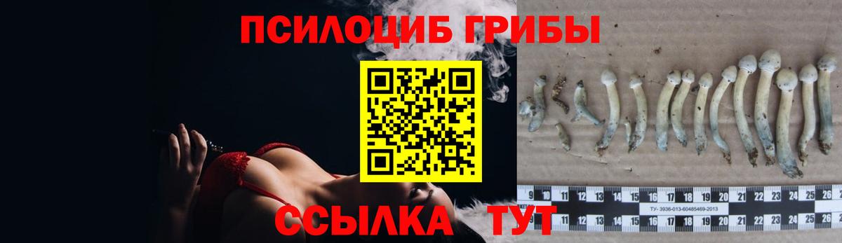 Галлюциногенные грибы Psilocybine cubensis Зеленокумск